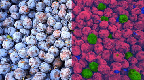hyperspectral-imaging-food-industry