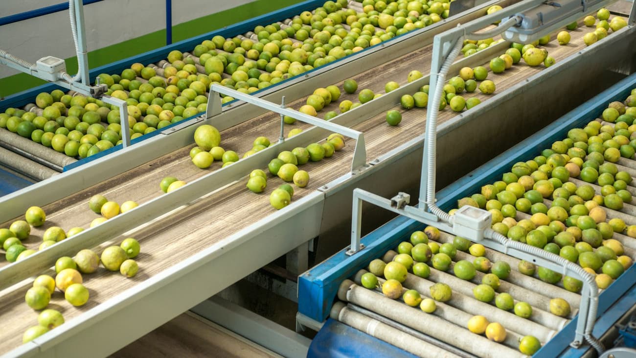 Food industry conveyor belt