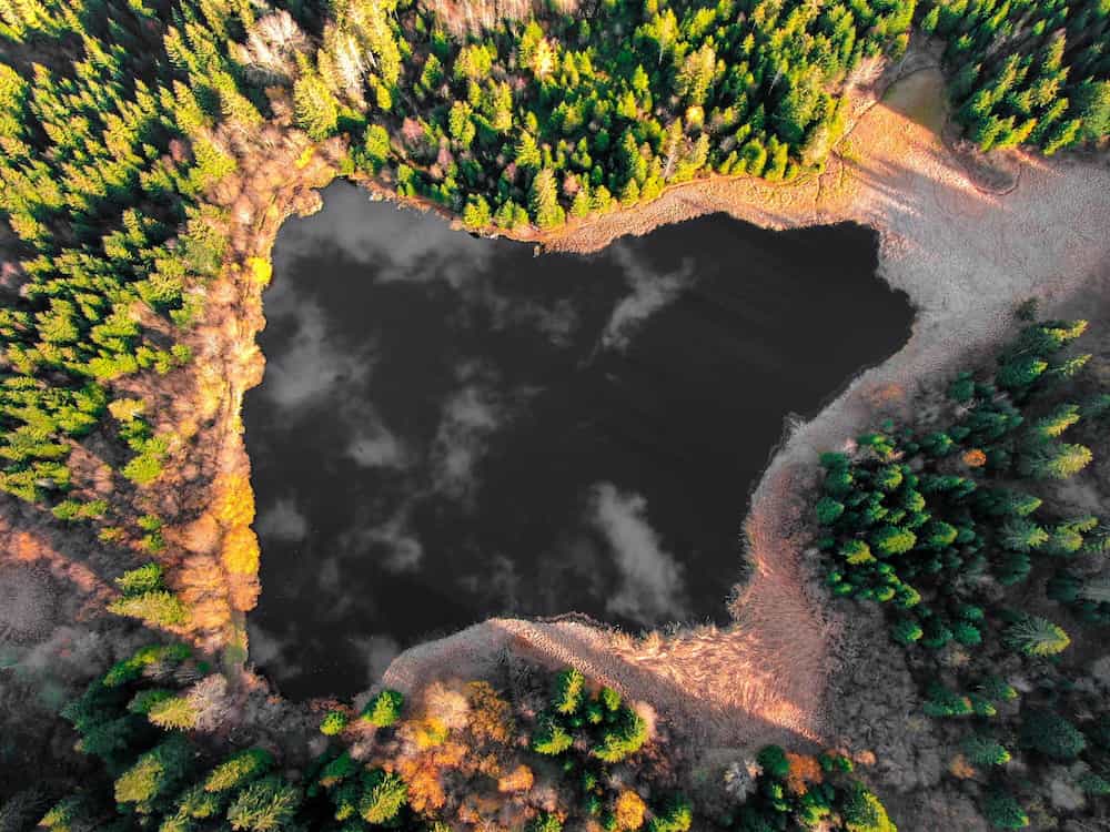 Tiedolla johtamisen kypsyys ja sen mittaaminen